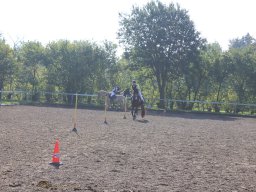 img_0237_web